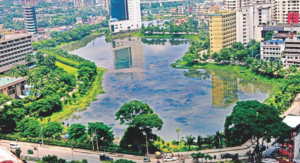 Read more about the article Nature-based solutions for our towns and cities