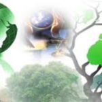 green ict