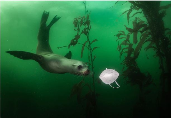 Read more about the article How to stop discarded face masks from polluting the planet