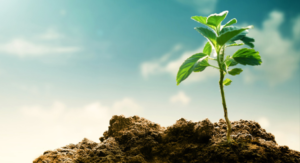 Read more about the article Building an eco-friendly Green ICT Market as the lasting legacy of ICTFOOTPRINT.eu