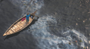 Read more about the article Our wetlands and a sustainable urban future