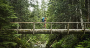 Read more about the article 10 Ways to Be an Eco-Conscious Tourist