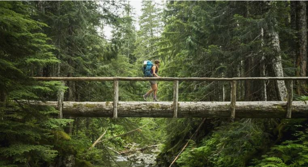 You are currently viewing 10 Ways to Be an Eco-Conscious Tourist