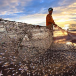 fisheries