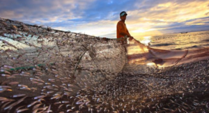 Read more about the article Energizing tourism for a Bay of Bengal community