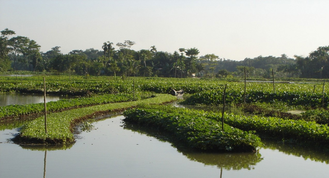Is floating agriculture a nature-based solution?